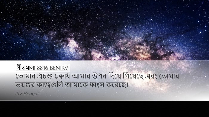 গীতমালা 88:16 BENIRV Bible Verse Image