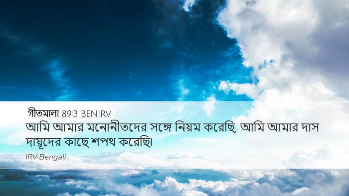 গীতমালা 89:3 BENIRV Bible Verse Image