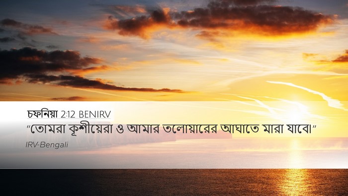 চফনিয়া 2:12 BENIRV Bible Verse Image