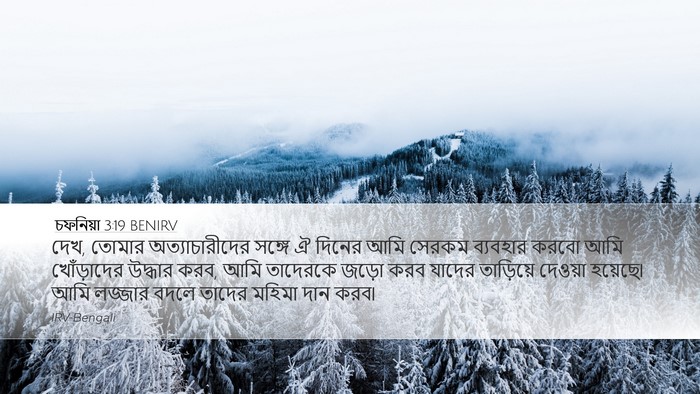 চফনিয়া 3:19 BENIRV Bible Verse Image