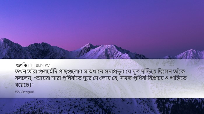 জখৰিয়া 1:11 BENIRV Bible Verse Image