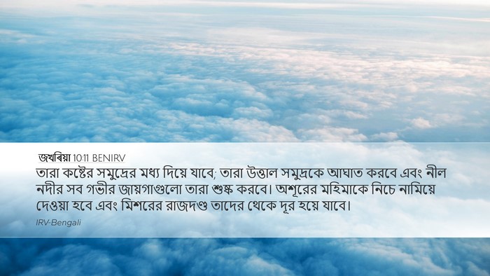 জখৰিয়া 10:11 BENIRV Bible Verse Image