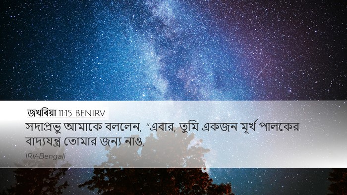 জখৰিয়া 11:15 BENIRV Bible Verse Image