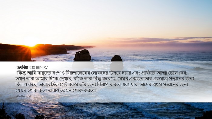 জখৰিয়া 12:10 BENIRV Bible Verse Image