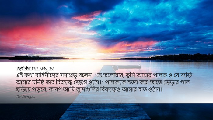 জখৰিয়া 13:7 BENIRV Bible Verse Image