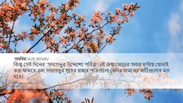 জখৰিয়া 14:20 BENIRV Bible Verse Image