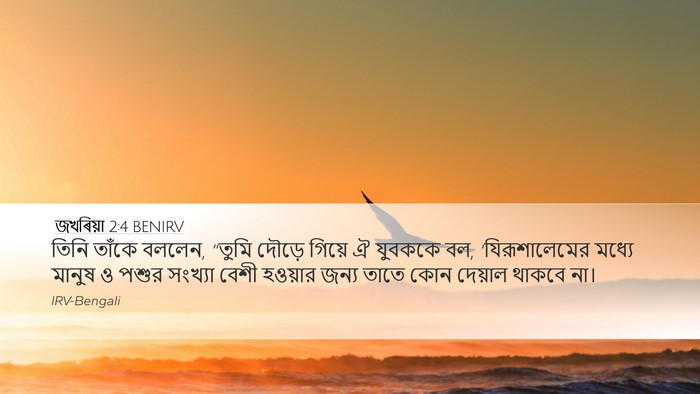 জখৰিয়া 2:4 BENIRV Bible Verse Image
