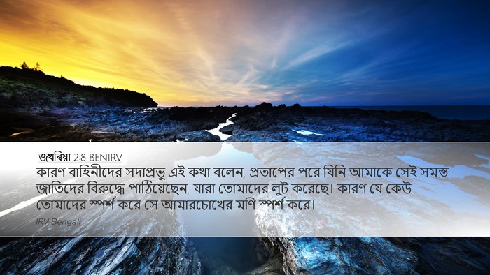জখৰিয়া 2:8 BENIRV Bible Verse Image