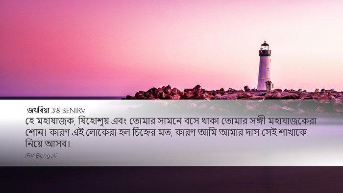 জখৰিয়া 3:8 BENIRV Bible Verse Image