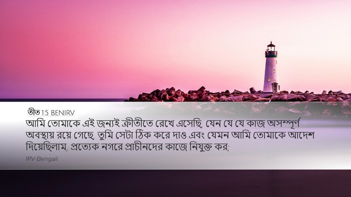 তীত 1:5 BENIRV Bible Verse Image