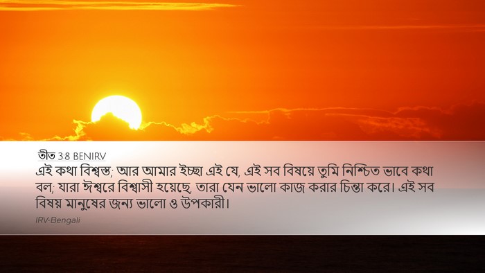 তীত 3:8 BENIRV Bible Verse Image