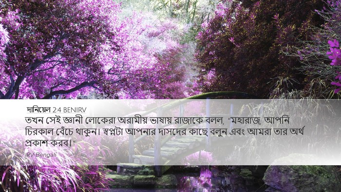 দানিয়েল 2:4 BENIRV Bible Verse Image