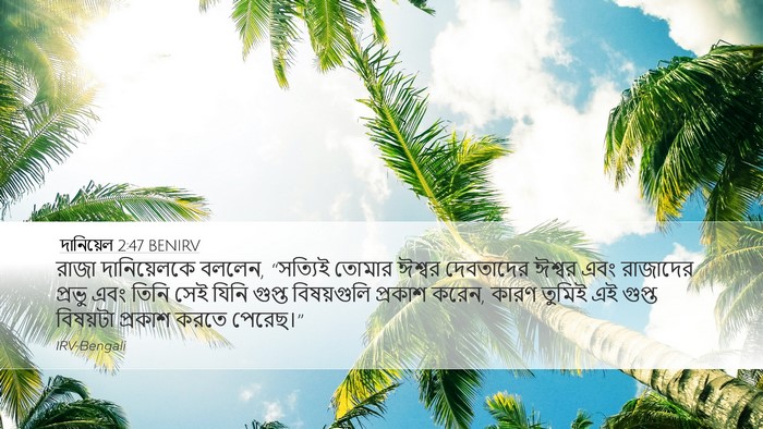 দানিয়েল 2:47 BENIRV Bible Verse Image