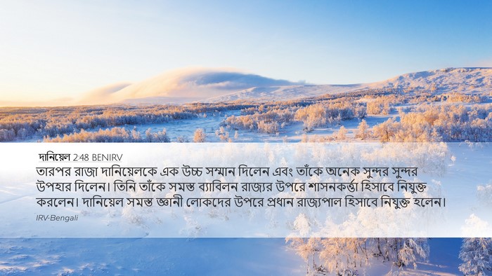 দানিয়েল 2:48 BENIRV Bible Verse Image