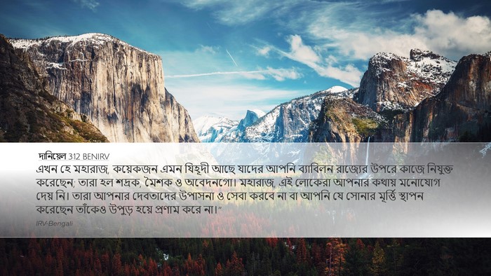 দানিয়েল 3:12 BENIRV Bible Verse Image