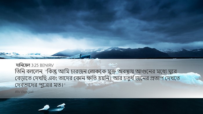 দানিয়েল 3:25 BENIRV Bible Verse Image
