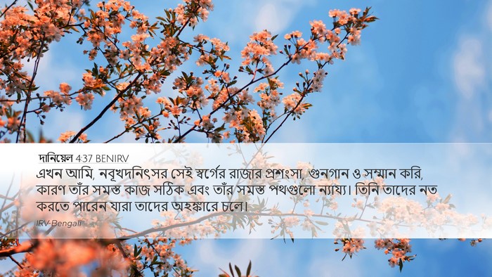 দানিয়েল 4:37 BENIRV Bible Verse Image
