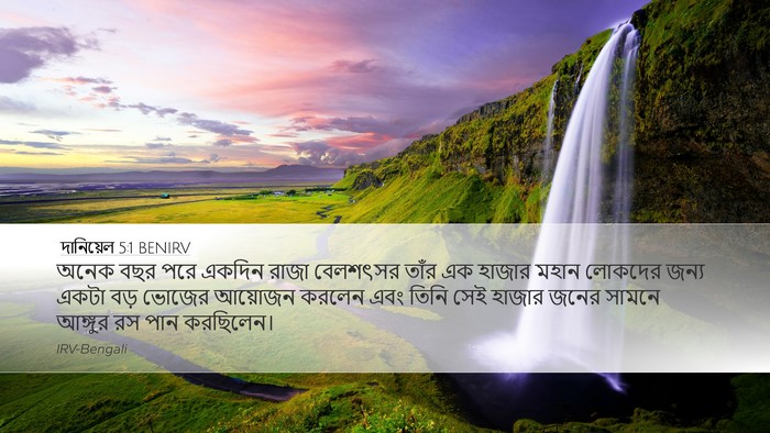 দানিয়েল 5:1 BENIRV Bible Verse Image
