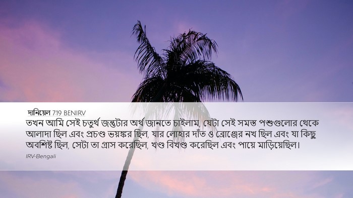 দানিয়েল 7:19 BENIRV Bible Verse Image