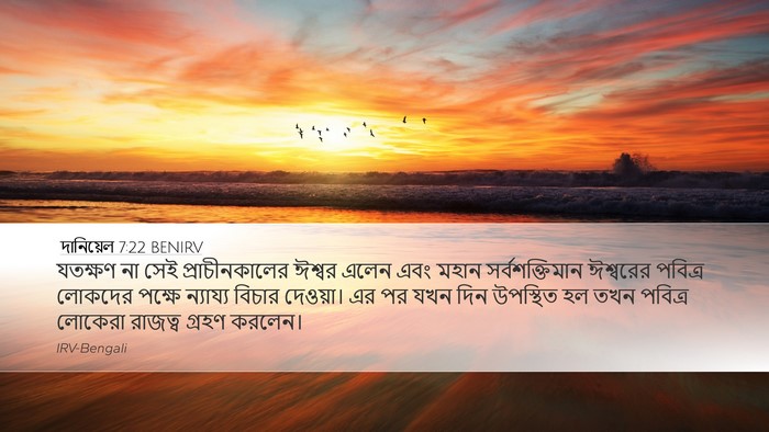 দানিয়েল 7:22 BENIRV Bible Verse Image