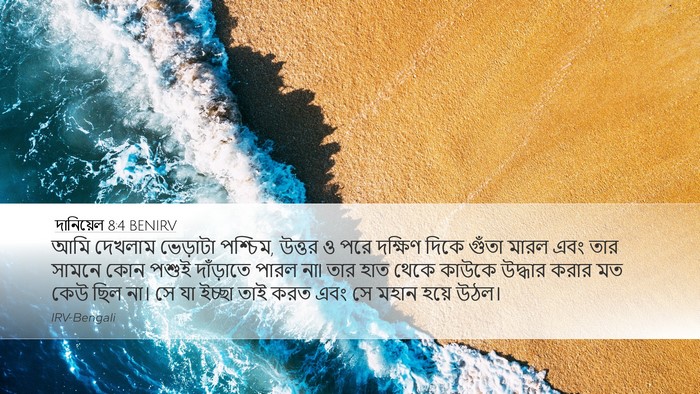 দানিয়েল 8:4 BENIRV Bible Verse Image