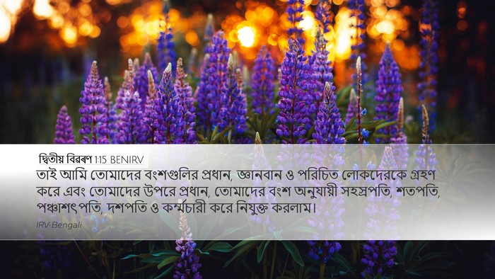 দ্বিতীয় বিৱৰণ 1:15 BENIRV Bible Verse Image