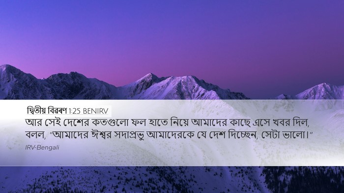 দ্বিতীয় বিৱৰণ 1:25 BENIRV Bible Verse Image