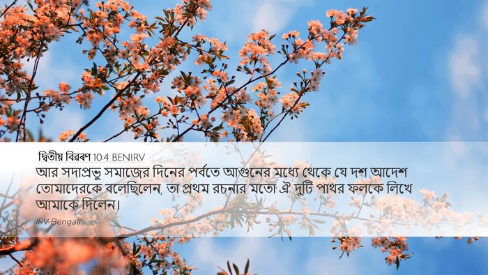 দ্বিতীয় বিৱৰণ 10:4 BENIRV Desktop Wallpaper - আর সদাপ্রভু - Desktop Bible Verse Wallpaper