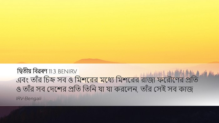 দ্বিতীয় বিৱৰণ 11:3 BENIRV Desktop Wallpaper - এবং তাঁর চিহ্ন সব ও - Desktop Bible Verse Wallpaper