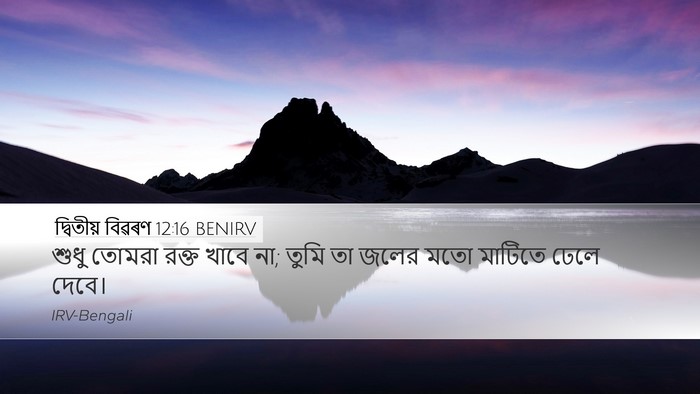 দ্বিতীয় বিৱৰণ 12:16 BENIRV Bible Verse Image
