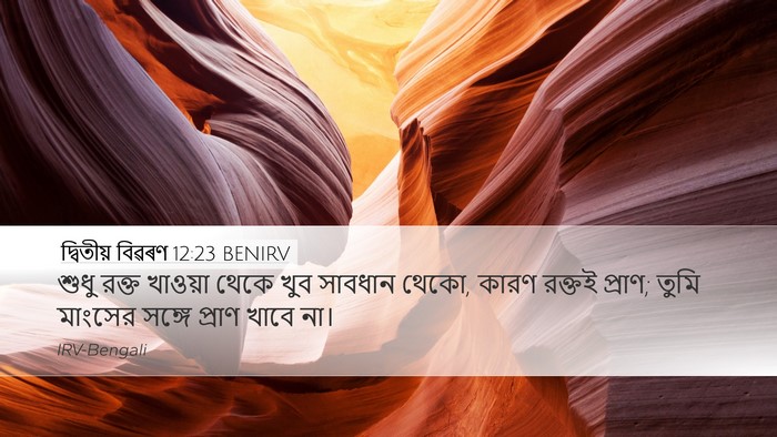 দ্বিতীয় বিৱৰণ 12:23 BENIRV Desktop Wallpaper - শুধু রক্ত খাওয়া - Desktop Bible Verse Wallpaper