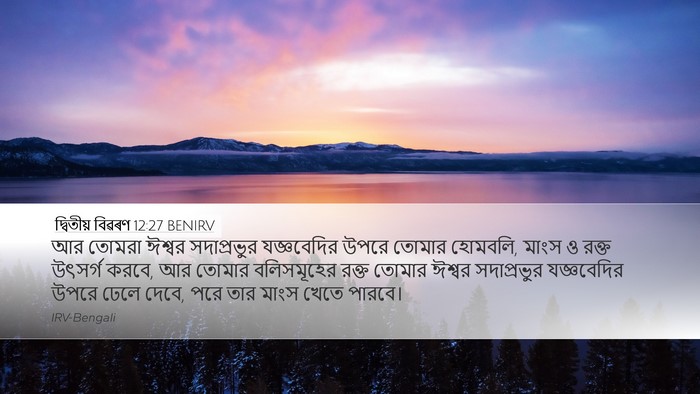 দ্বিতীয় বিৱৰণ 12:27 BENIRV Bible Verse Image