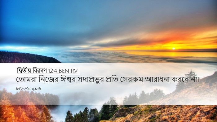 দ্বিতীয় বিৱৰণ 12:4 BENIRV Bible Verse Image
