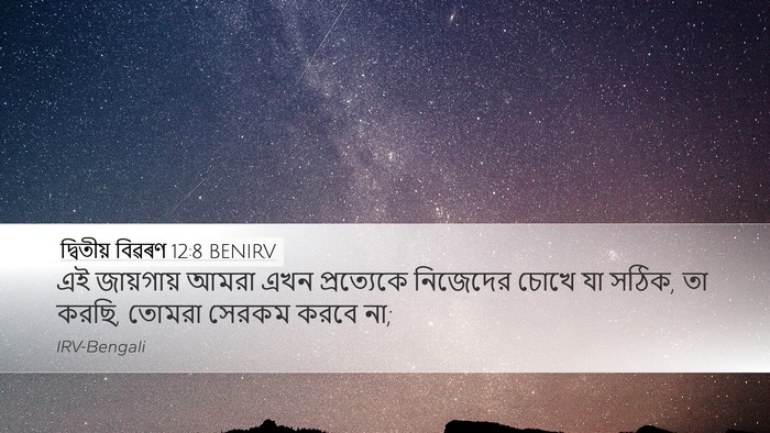 দ্বিতীয় বিৱৰণ 12:8 BENIRV Bible Verse Image