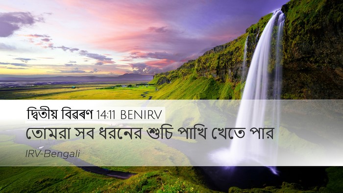 দ্বিতীয় বিৱৰণ 14:11 BENIRV Desktop Wallpaper - তোমরা সব ধরনের - Desktop Bible Verse Wallpaper
