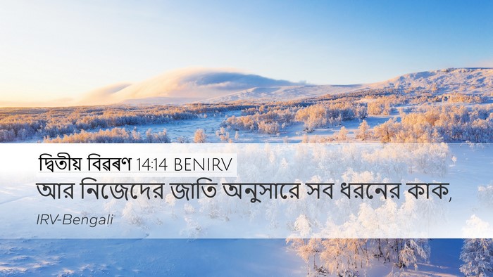 দ্বিতীয় বিৱৰণ 14:14 BENIRV Desktop Wallpaper - আর নিজেদের জাতি - Desktop Bible Verse Wallpaper
