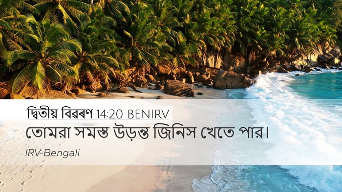 দ্বিতীয় বিৱৰণ 14:20 BENIRV Desktop Wallpaper - তোমরা সমস্ত - Desktop Bible Verse Wallpaper
