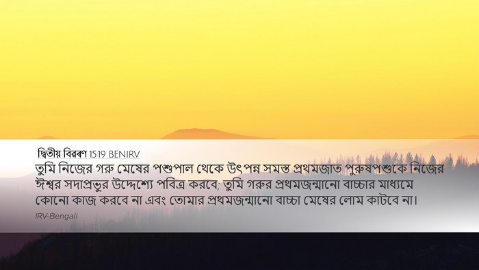 দ্বিতীয় বিৱৰণ 15:19 BENIRV Bible Verse Image