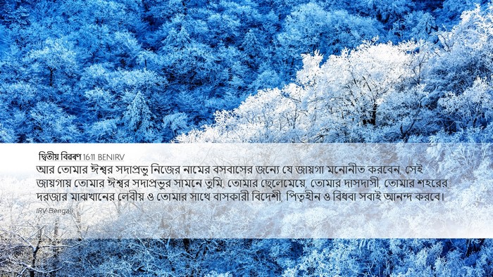 দ্বিতীয় বিৱৰণ 16:11 BENIRV Bible Verse Image