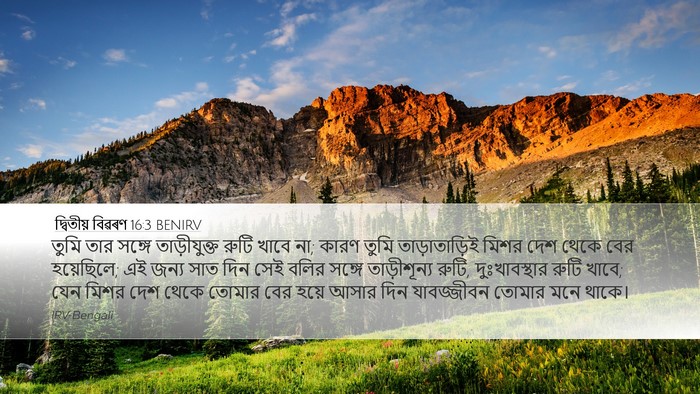 দ্বিতীয় বিৱৰণ 16:3 BENIRV Bible Verse Image