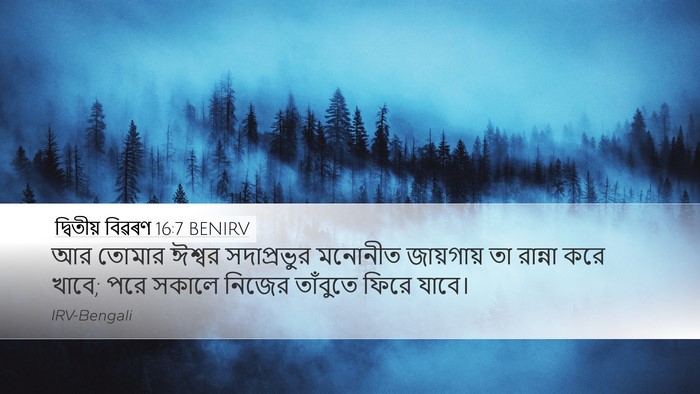 দ্বিতীয় বিৱৰণ 16:7 BENIRV Desktop Wallpaper - আর তোমার ঈশ্বর - Desktop Bible Verse Wallpaper