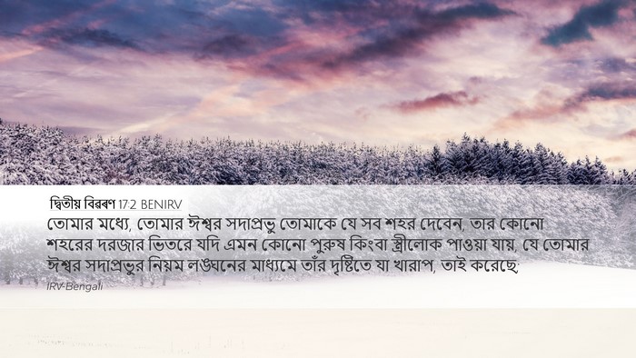 দ্বিতীয় বিৱৰণ 17:2 BENIRV Bible Verse Image