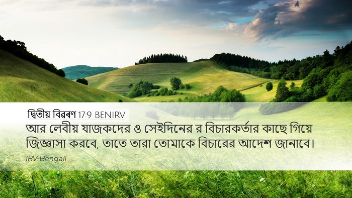 দ্বিতীয় বিৱৰণ 17:9 BENIRV Bible Verse Image
