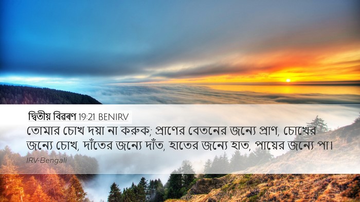 দ্বিতীয় বিৱৰণ 19:21 BENIRV Bible Verse Image