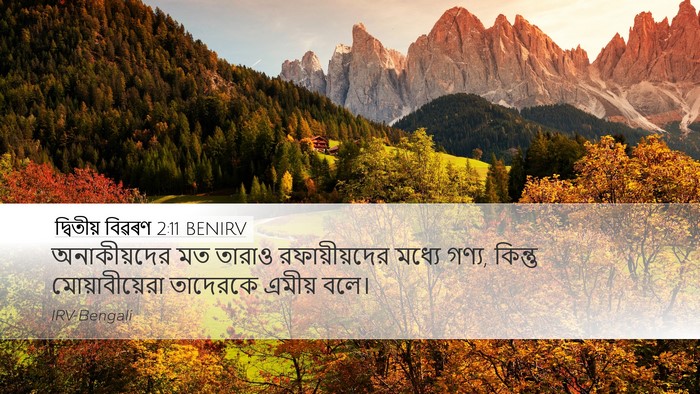 দ্বিতীয় বিৱৰণ 2:11 BENIRV Bible Verse Image