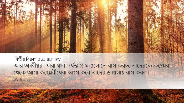 দ্বিতীয় বিৱৰণ 2:23 BENIRV Bible Verse Image
