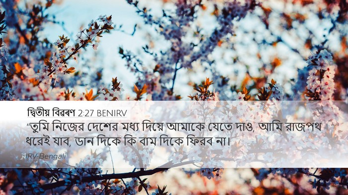 দ্বিতীয় বিৱৰণ 2:27 BENIRV Bible Verse Image