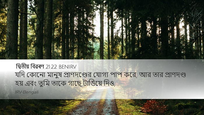 দ্বিতীয় বিৱৰণ 21:22 BENIRV Bible Verse Image
