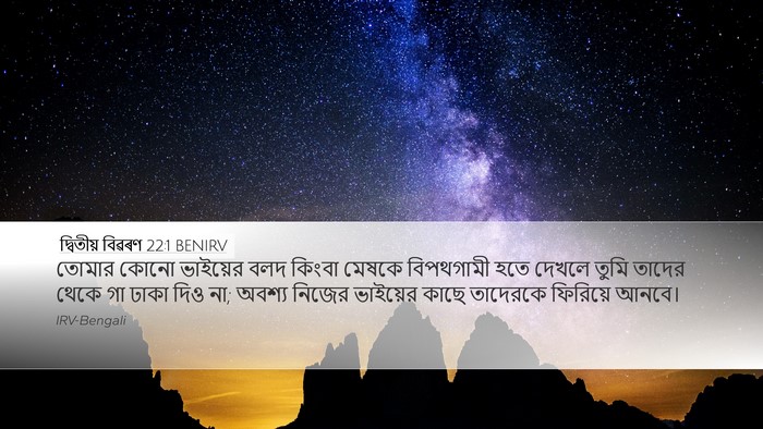 দ্বিতীয় বিৱৰণ 22:1 BENIRV Bible Verse Image