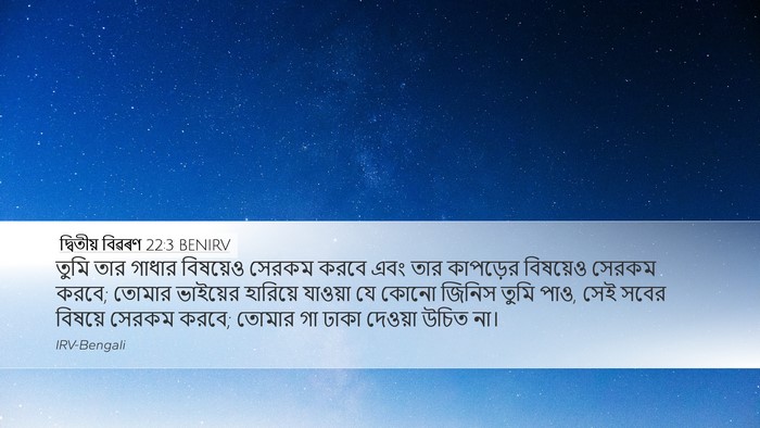 দ্বিতীয় বিৱৰণ 22:3 BENIRV Desktop Wallpaper - তুমি তার গাধার - Desktop Bible Verse Wallpaper